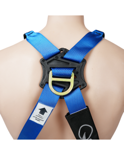 Full Body Harness